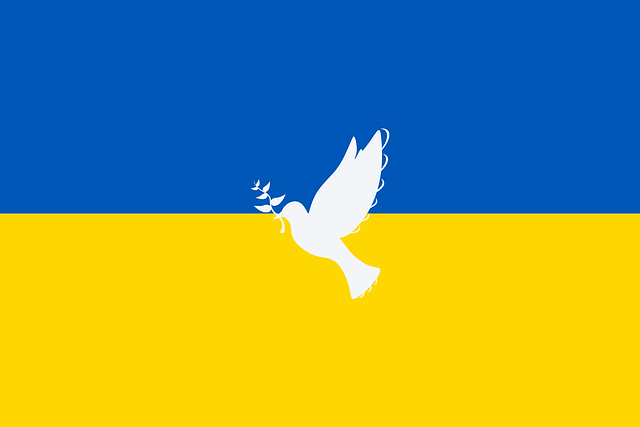 Spendenaufruf Ukrainehilfe